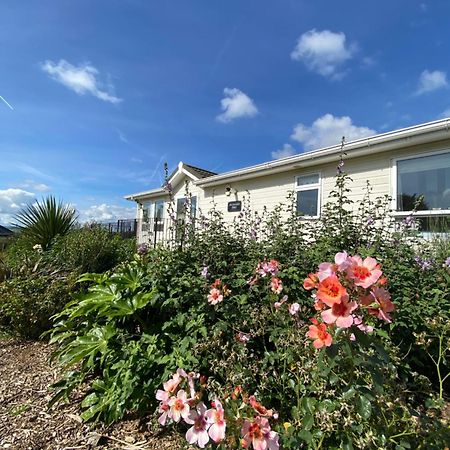 East Kitcham Lodge Launceston Exterior foto