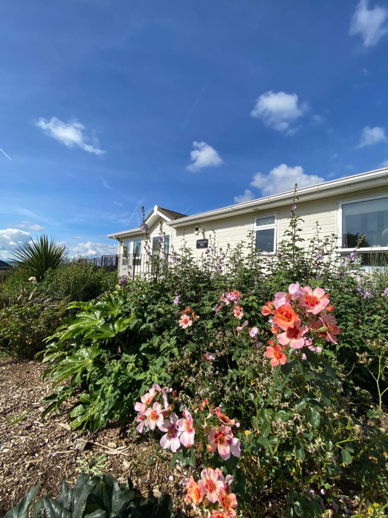 East Kitcham Lodge Launceston Exterior foto